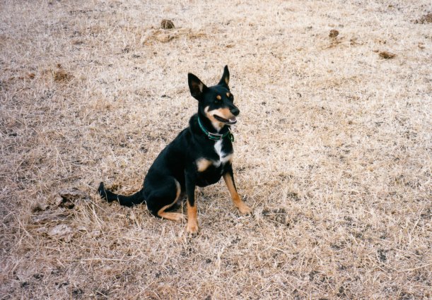 01-25-1998 01 Flash Cash.jpg