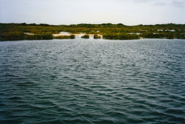 02-02-1998 01 Picaninnie Ponds.jpg