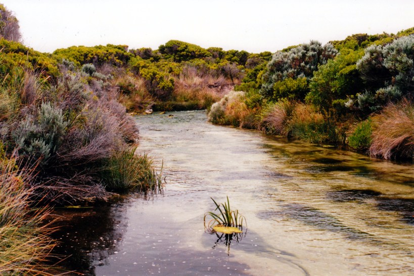02-02-1998-02-picaninnie-ponds-outlet-to-sea