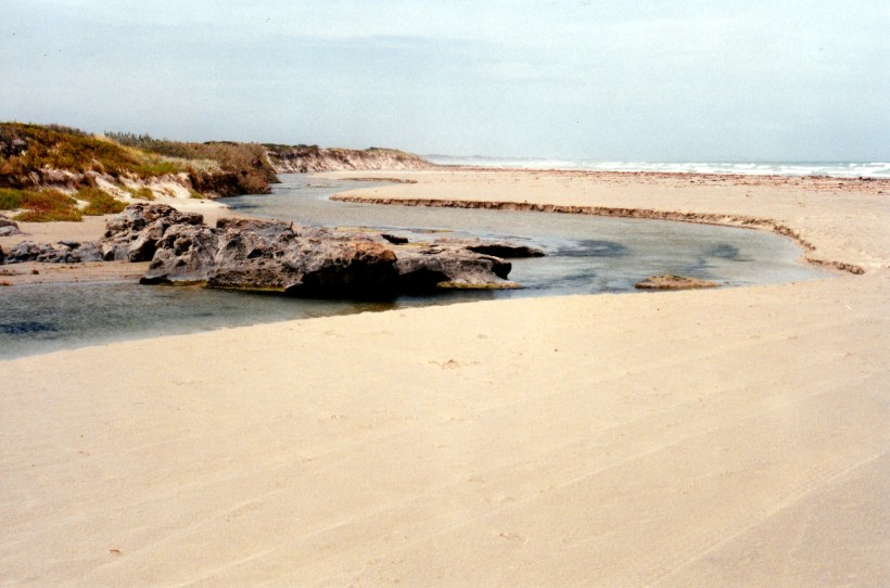 02-02-1998-03-outlet-creek-picanannie-ponds-to-discovery-bay