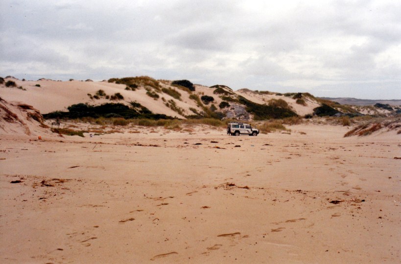 02-05-1998-03-truck-did-it-parked-by-beach