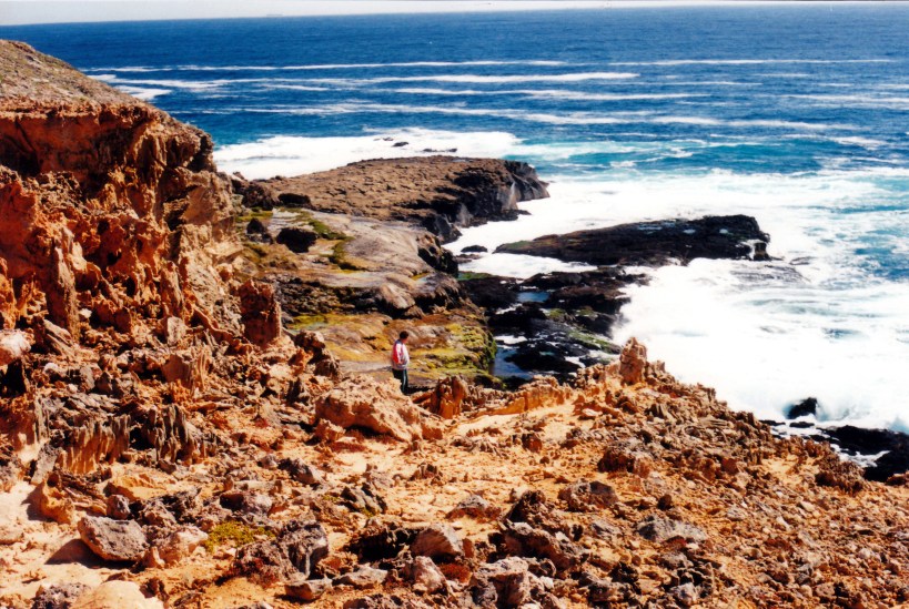 02-09-1998 05 J on old cattle ramp down to Springs Bridgewater.jpg