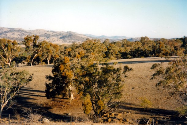 03-17-1998-01-tharwa-area