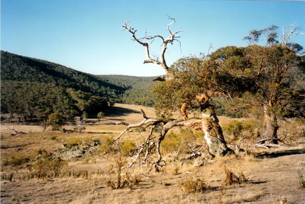 03-19-1998-02-naas-ck-valley-namadgi-np