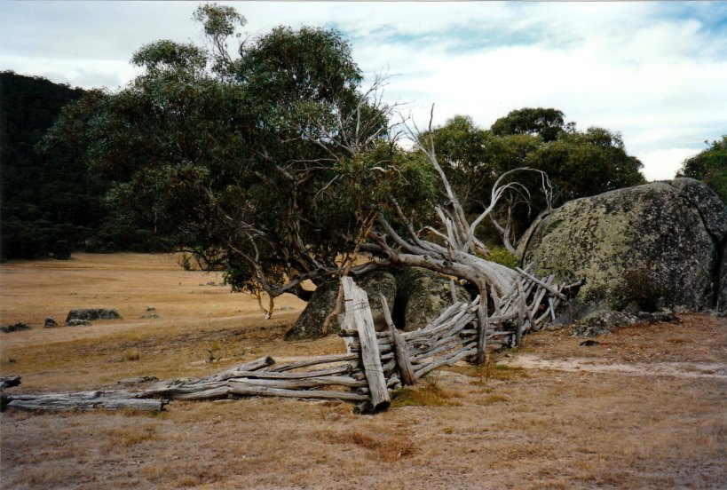 03-24-1998-02-upper-naas-valley-namdgi-np