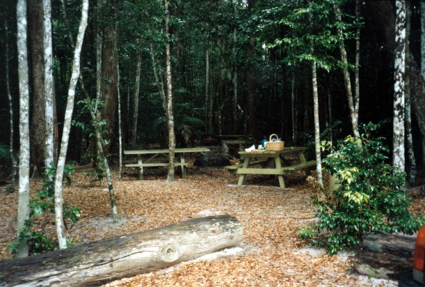 04-23-1998 01 Bymien Picnic area Great Sandy NP.jpg
