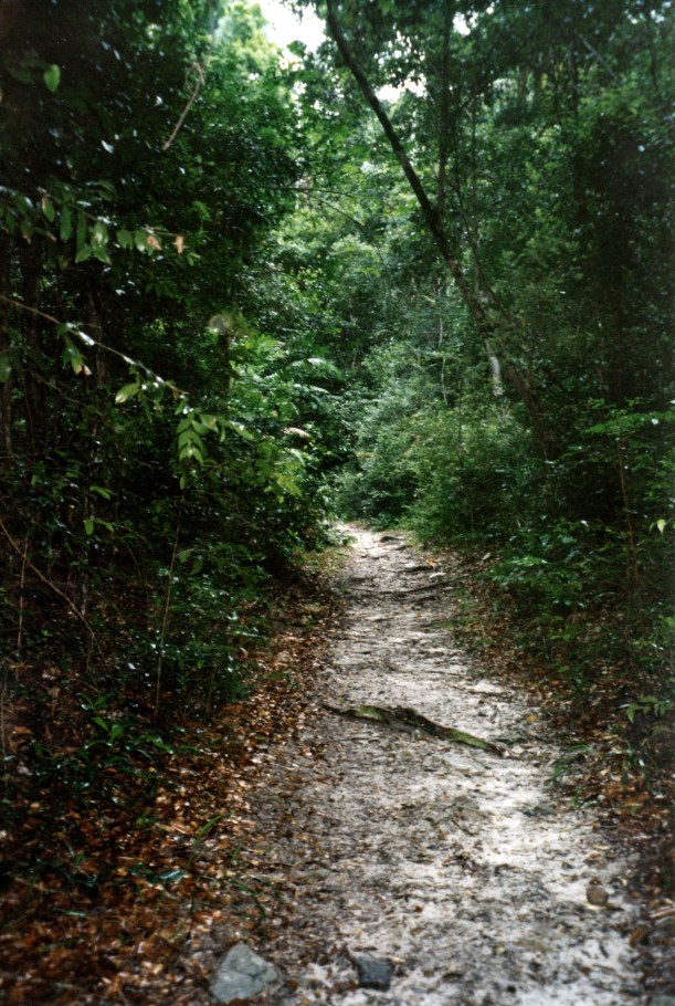 04-23-1998 03 track to Lake Poona in rain.jpg