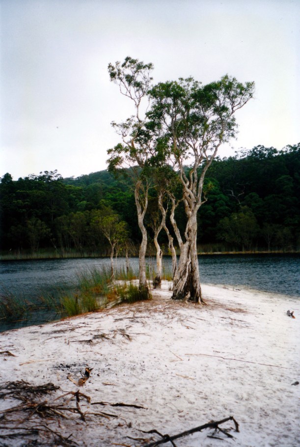 04-23-1998 04 Lake Poona.jpg