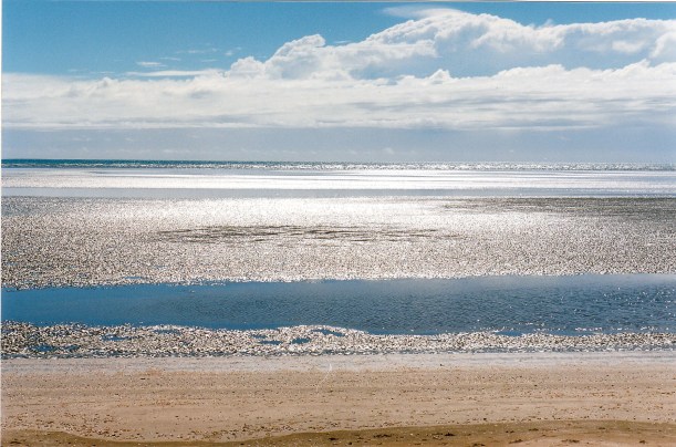 04-30-1998 03 Craignish Beach & soldier crabs.jpg