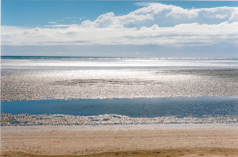04-30-1998 03 Craignish Beach & soldier crabs.jpg