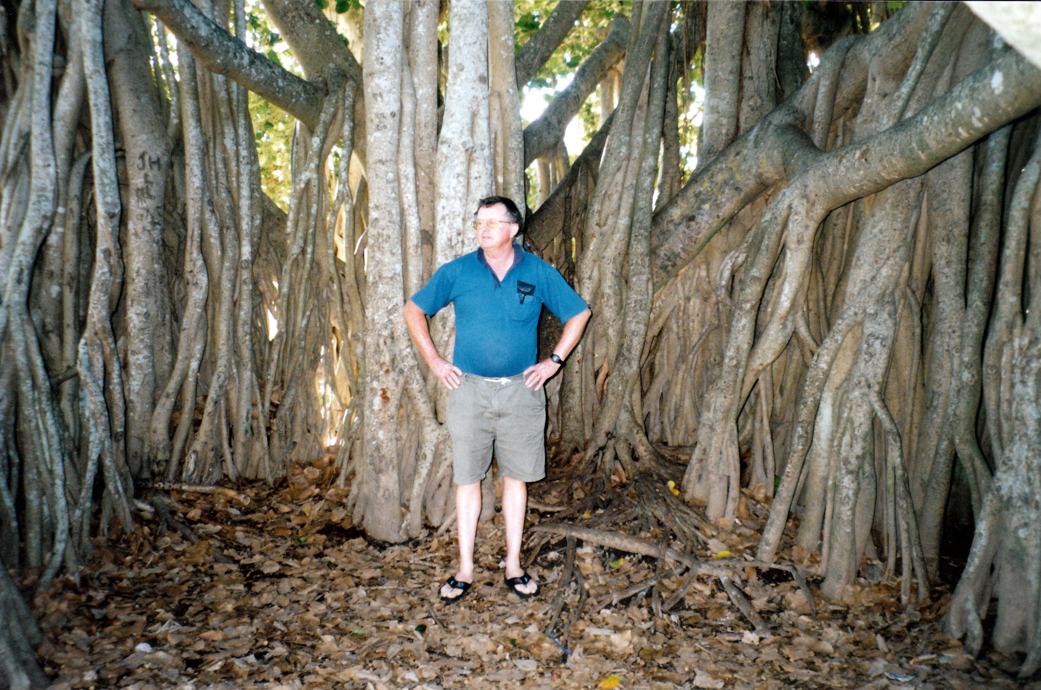 05-06-1998 04 John inside the big fig.jpg