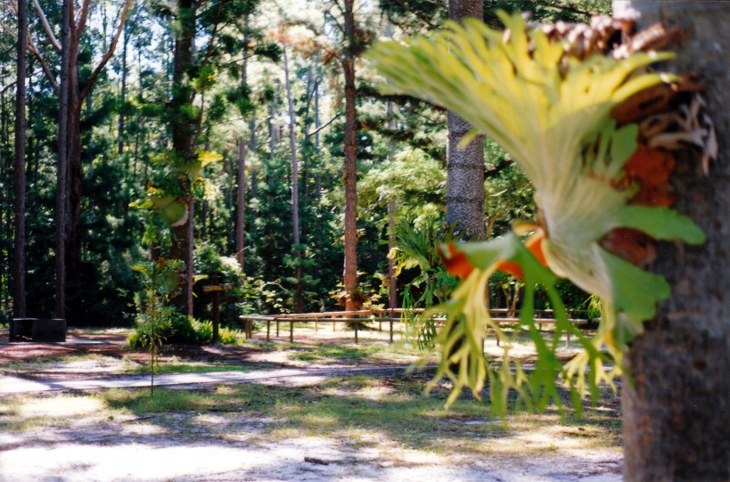 05-10-1998 04 Central Station.jpg