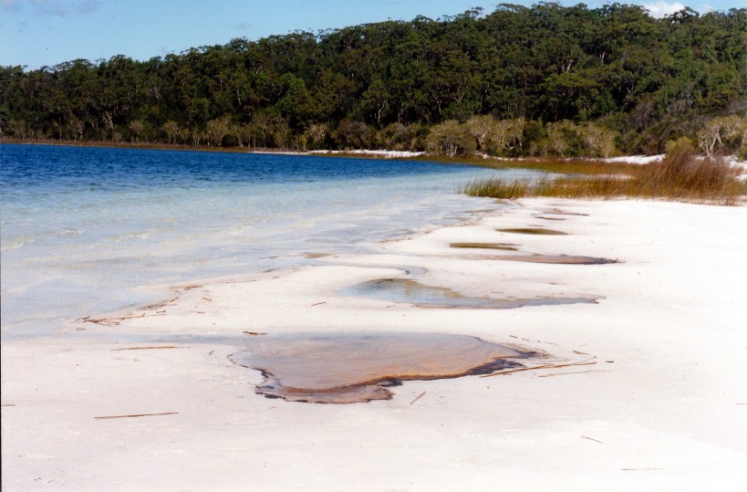 05-10-1998 09 Lake Birrabeen beach.jpg