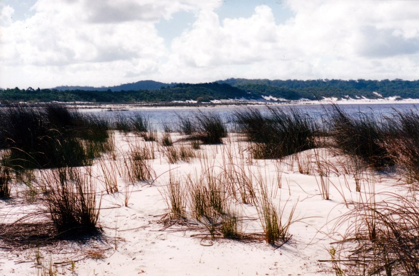 05-10-1998 12 Lake Boomajin beach.jpg