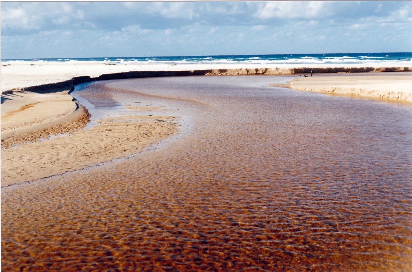 05-10-1998 16 Govi ck.jpg