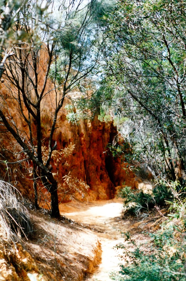 05-11-1998-02-rainbow-valley-fraser-island