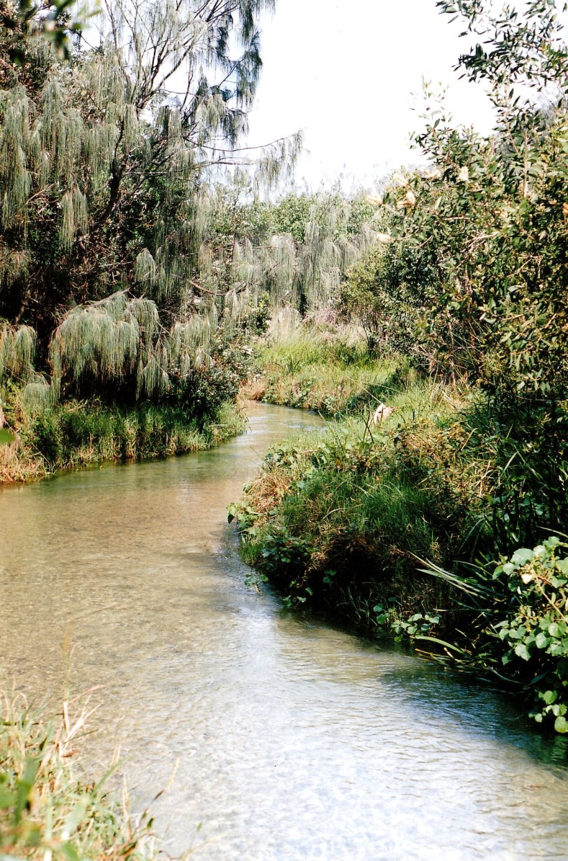 05-11-1998 05 down Eli ck.jpg