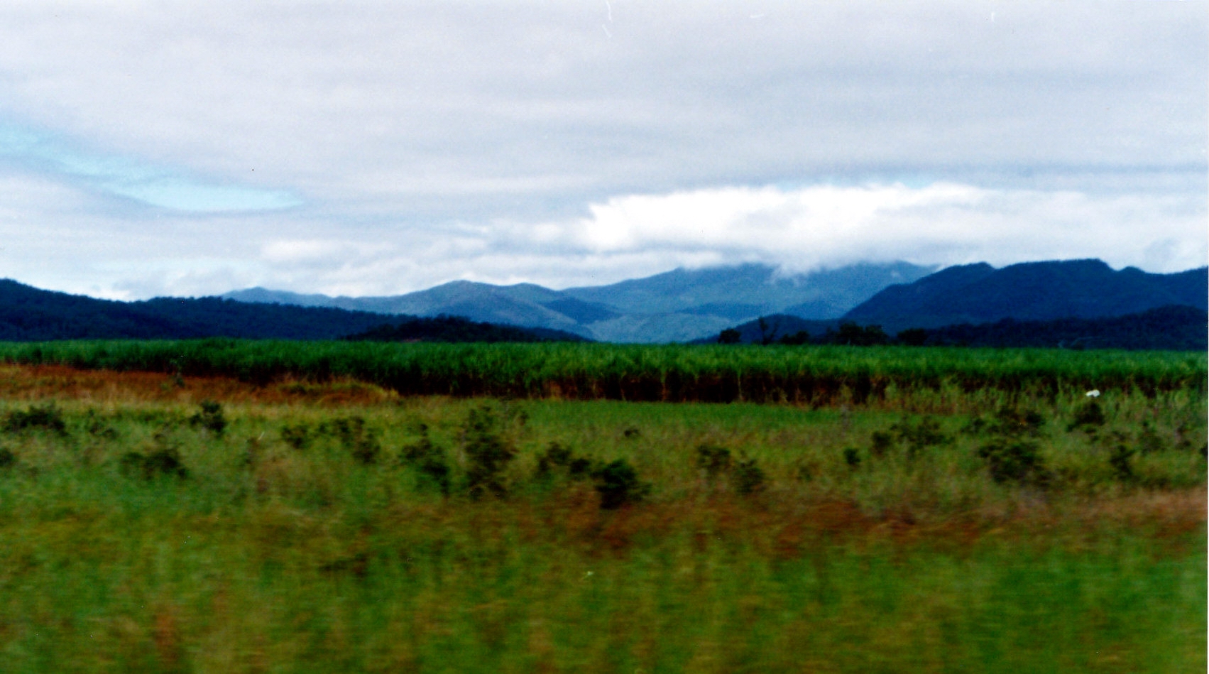 05-14-1998 02 sugar cane country near mackay.jpg