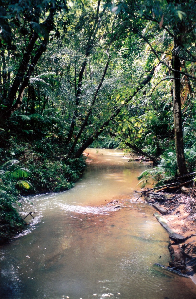 06-02-1998 04 Lacey Ck.jpg