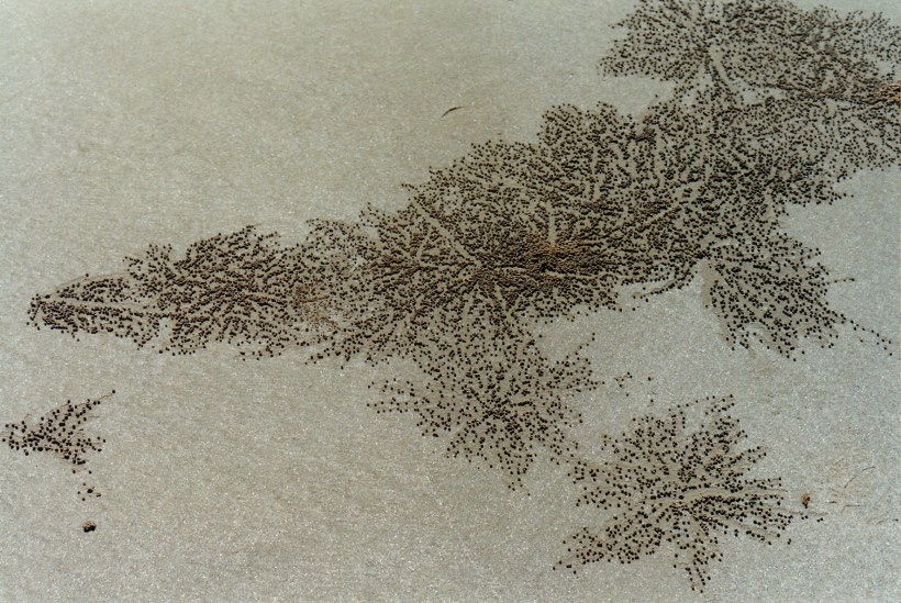 06-03-1998-03-lugger-beach