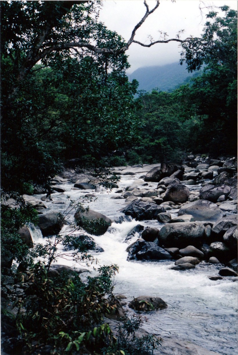 06-19-1998 01 mossman gorge.jpg