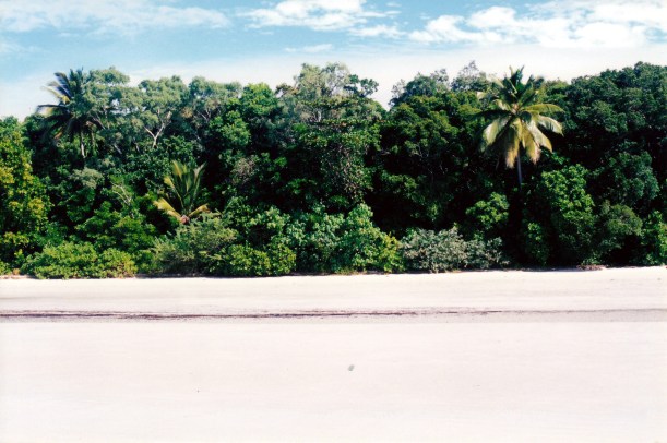 06-24-1998 06 Cape Tribulation beach scene.jpg