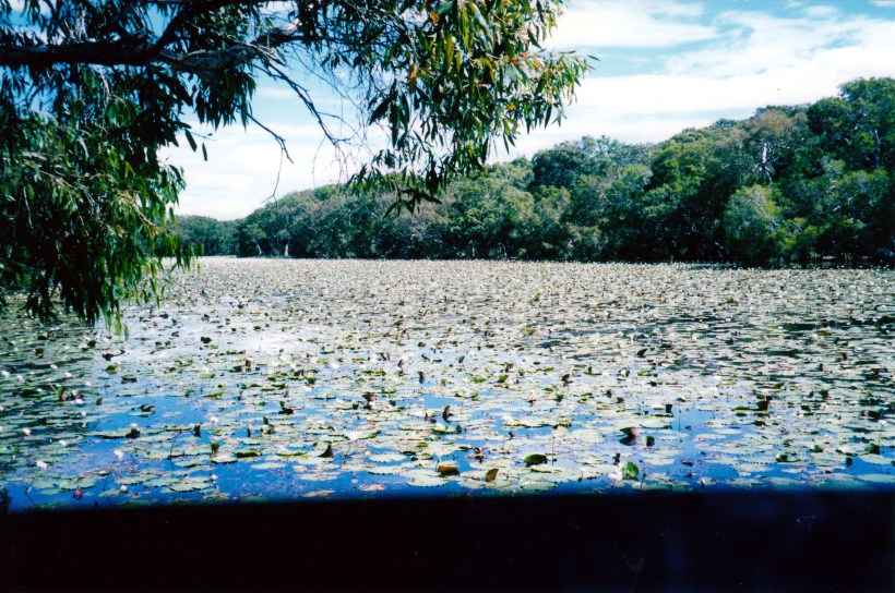 06-30-1998 03 Keatings Lagoon.jpg