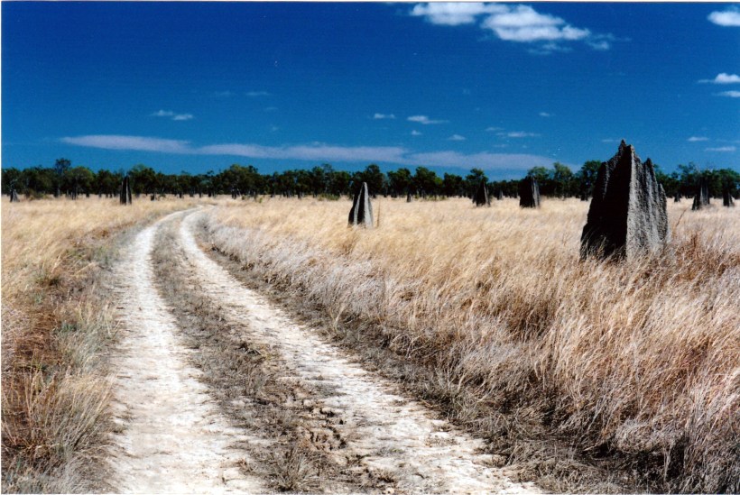 07-07-1998 06 kalpowar plains.jpg