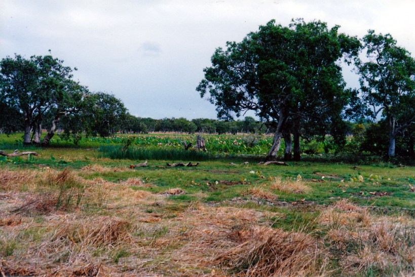 07-09-1998 02 Red Lily Lagoon.jpg