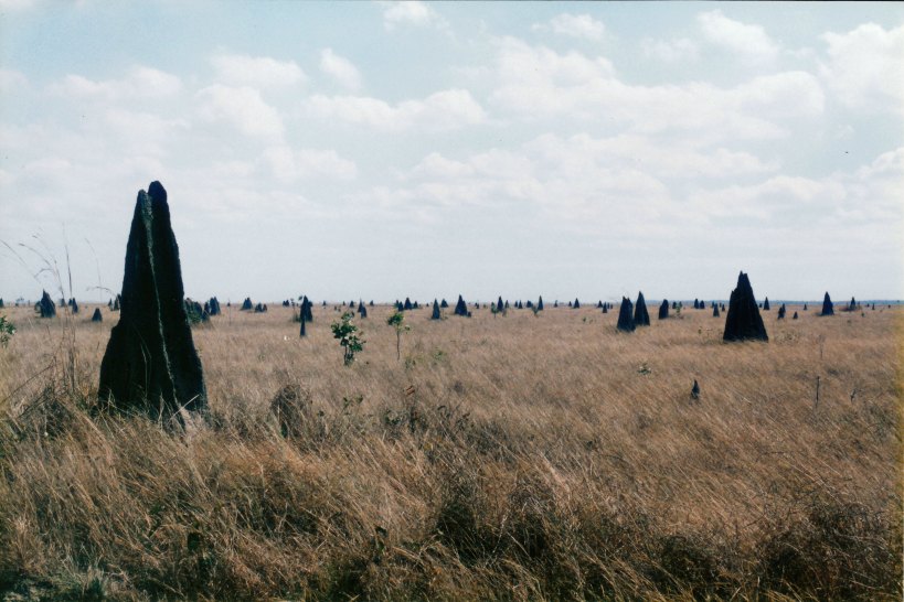 07-13-1998 01 Nifold Plains vista.jpg