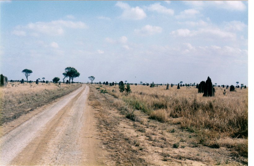 07-13-1998 02 nifold plain.jpg