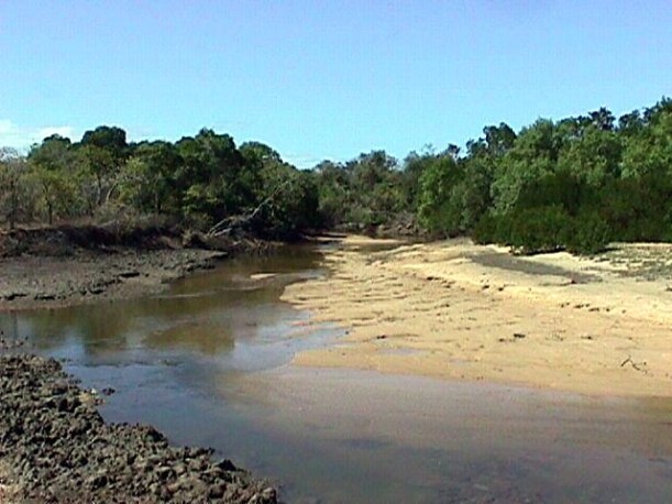 07-17-1998 02 Silver Plains Tidal Creek.jpg