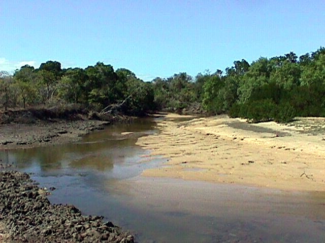 07-17-1998 02 Silver Plains Tidal Creek.jpg