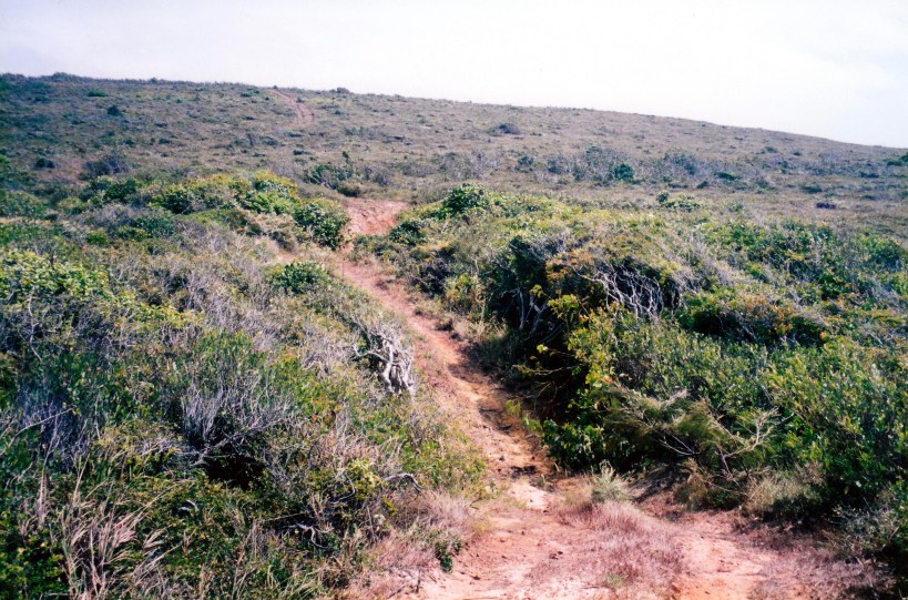 08-17-1998 07 Ussher Point track where stuck.jpg