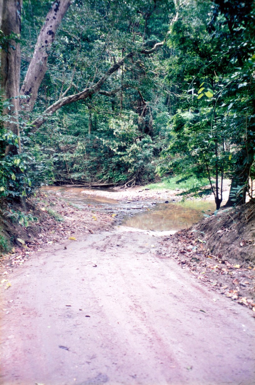 08-22-1998 02 trk Iron Range NP.jpg