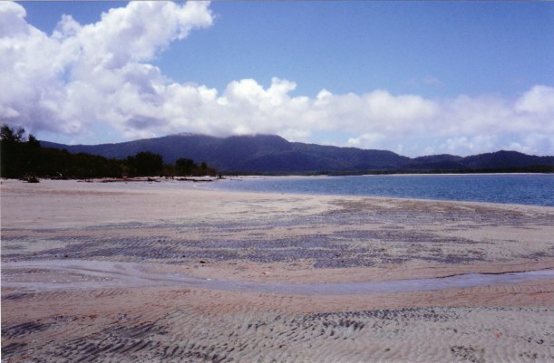 09-03-1998-03-daintree-mouth