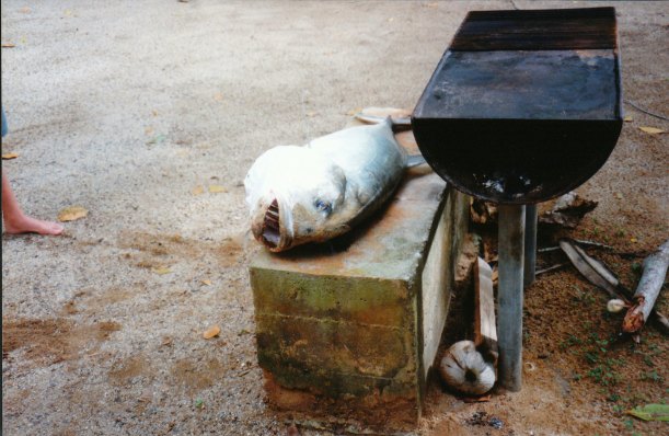 09-04-1998 golden trevalley.jpg