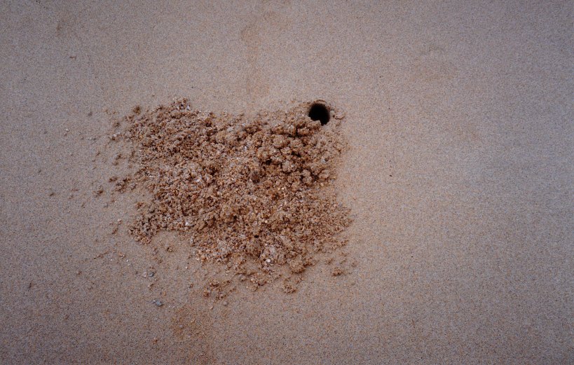 09-07-1998 somethings beach home wonga.jpg