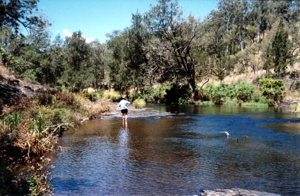 10-06-1998 the Millstream near Ravenshoe.jpg