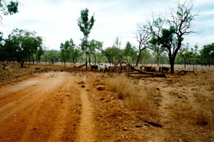 10-09-1998 01 rd to OBriens Ck.jpg