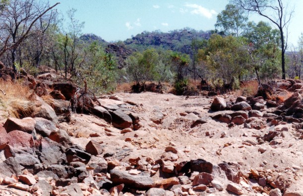 10-10-1998 03 dug over creek bed OBriens Ck.jpg