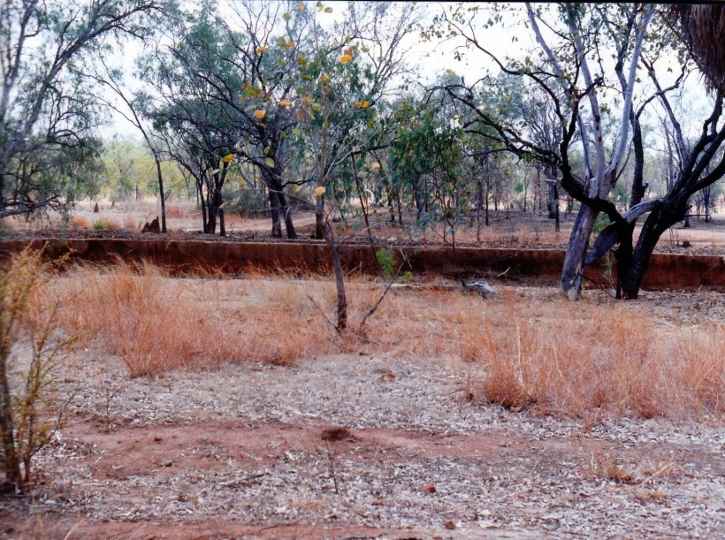10-12-1998-03-bulleringa-road