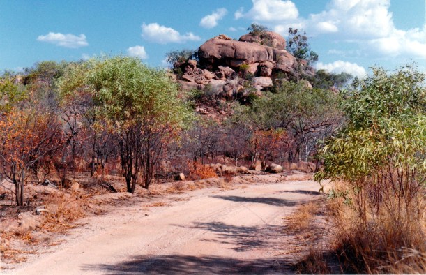 10-12-1998 06 track to Bulleringa NP.jpg