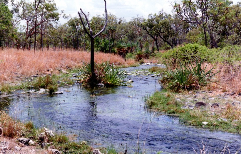 10-13-1998 07 Whitewater Fossil Brook scene.jpg