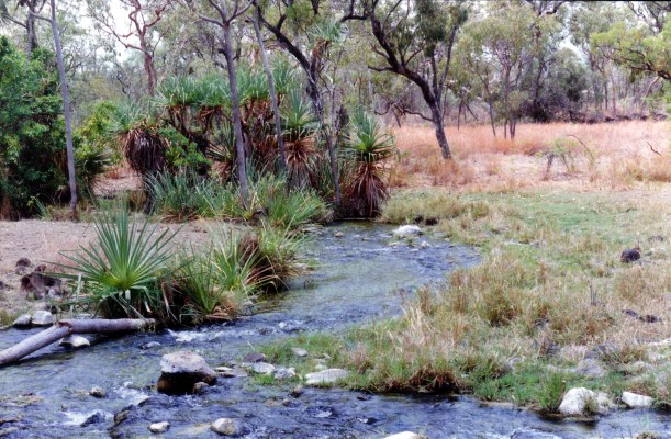 10-13-1998-08-fossilbrook-ck-on-whitewater-stn1