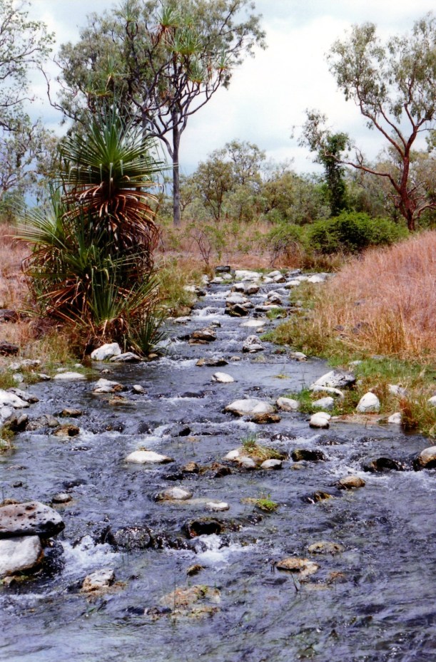 10-13-1998 09 Fossil Brook.jpg