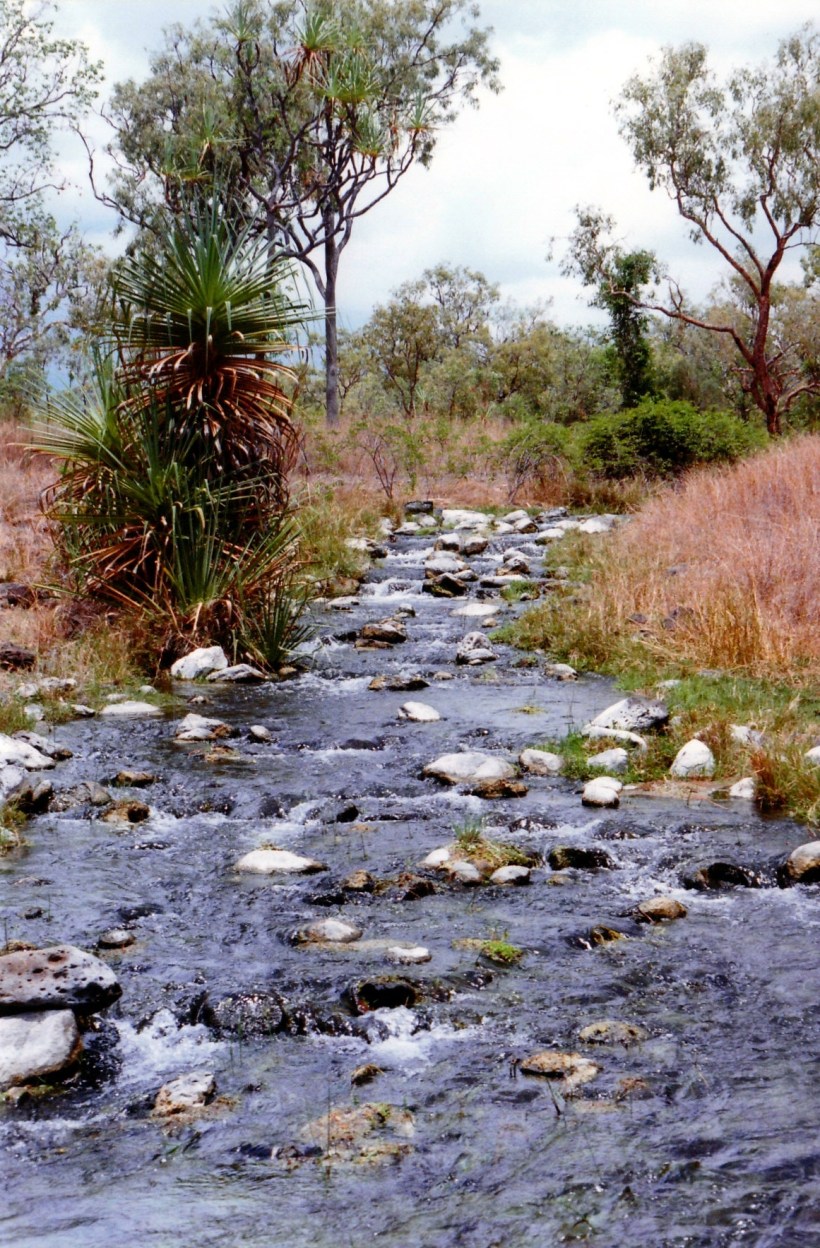 10-13-1998 09 Fossil Brook.jpg