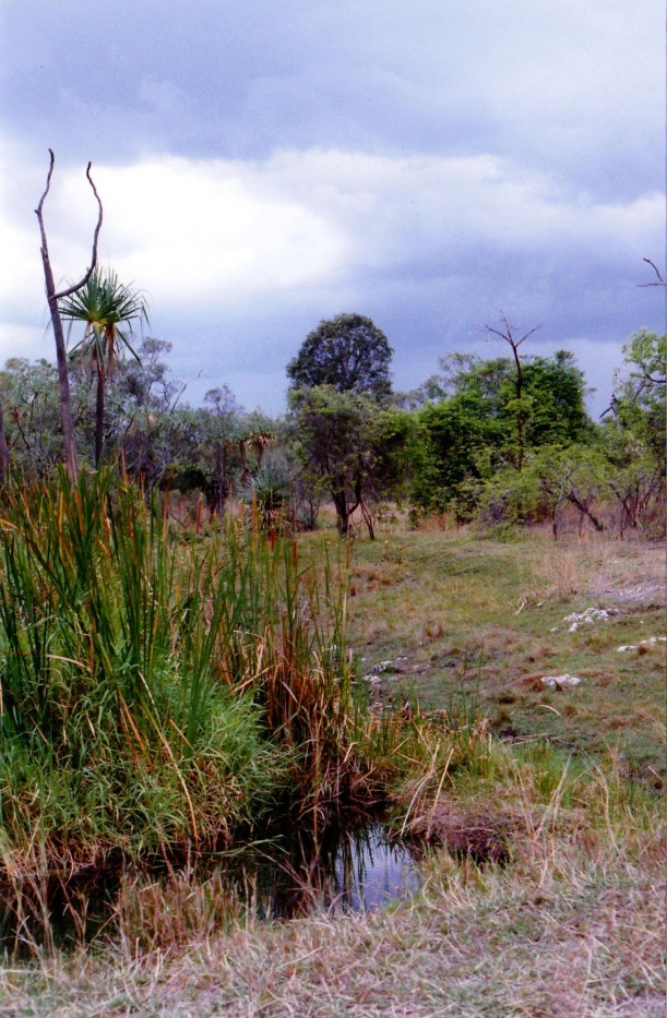 10-13-1998-10-fossil-brrok-lynd-source