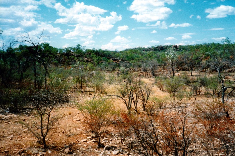 10-14-1998 04 fossicking area Blue Hills.jpg