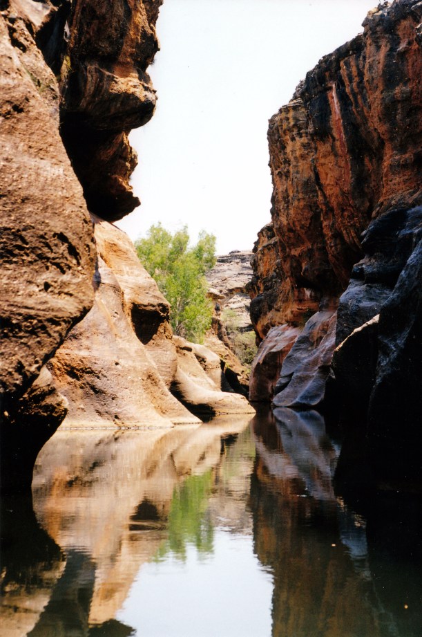 10-21-1998 08 Cobbold Gorge narrow section.jpg